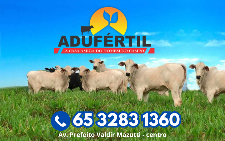 ADUFÉTIL