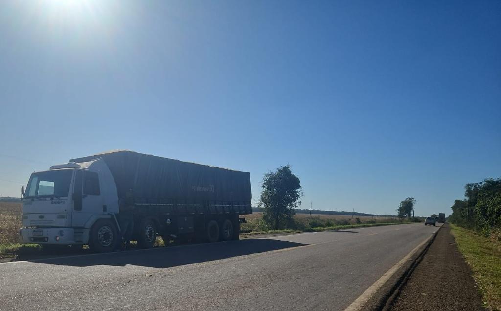 Polícia Civil intensifica combate ao transporte ilegal de madeira entre Mato Grosso e Rondônia